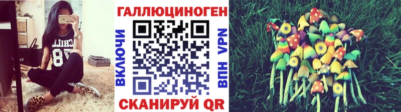 Галлюциногенные грибы Cubensis Новомичуринск