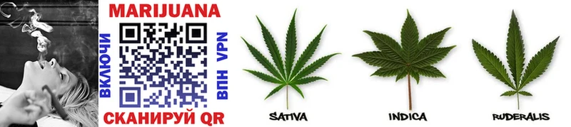 Бошки Шишки White Widow  закладки  Новомичуринск 